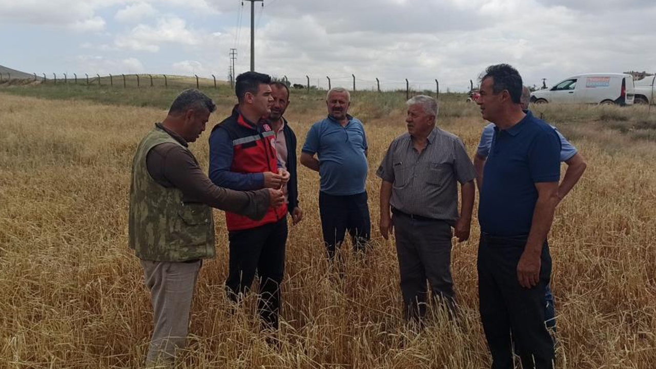 Yoğun yağışlar çiftçinin bir yıllık emeğini çöpe attı