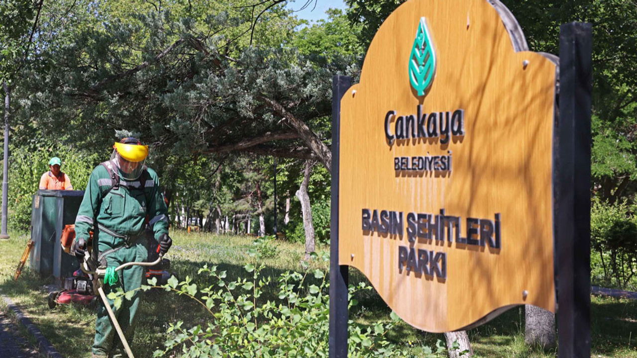 Çankaya parklarına yaz bakımı