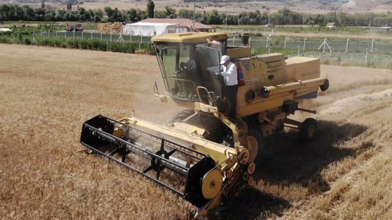 Kırıkkale'de buğday hasadı başladı!