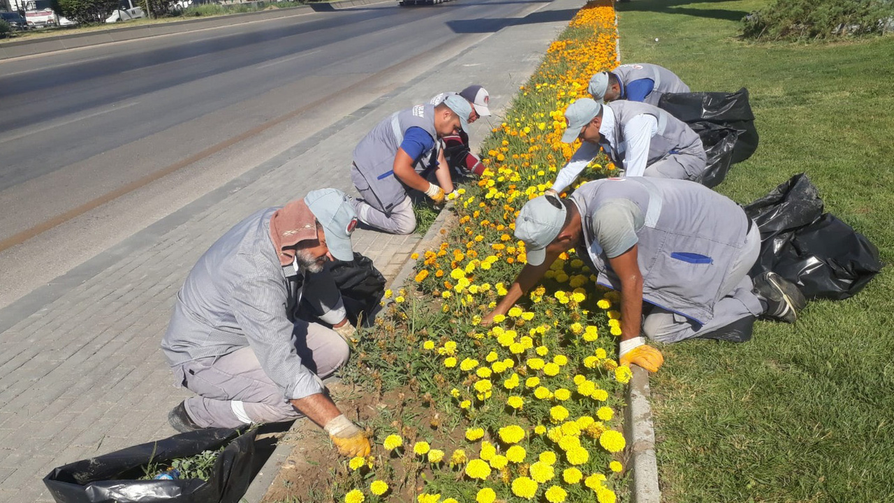 Sincan'da park ve bahçelere çiçek ekildi