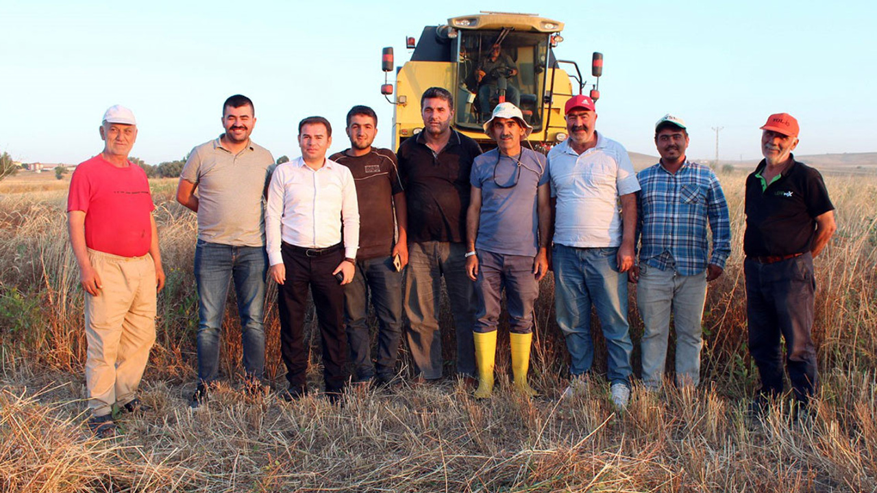 Yozgat’ta kişniş bereketi: İlk defa ekildi, beklenenin üzerinde verim alındı