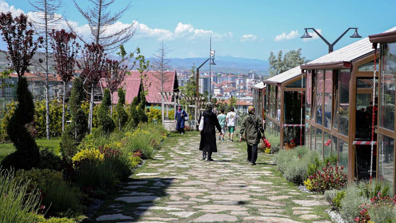 Ankara'da gidilecek mekan yok demeyin: Endemik Vadi sizleri bekliyor