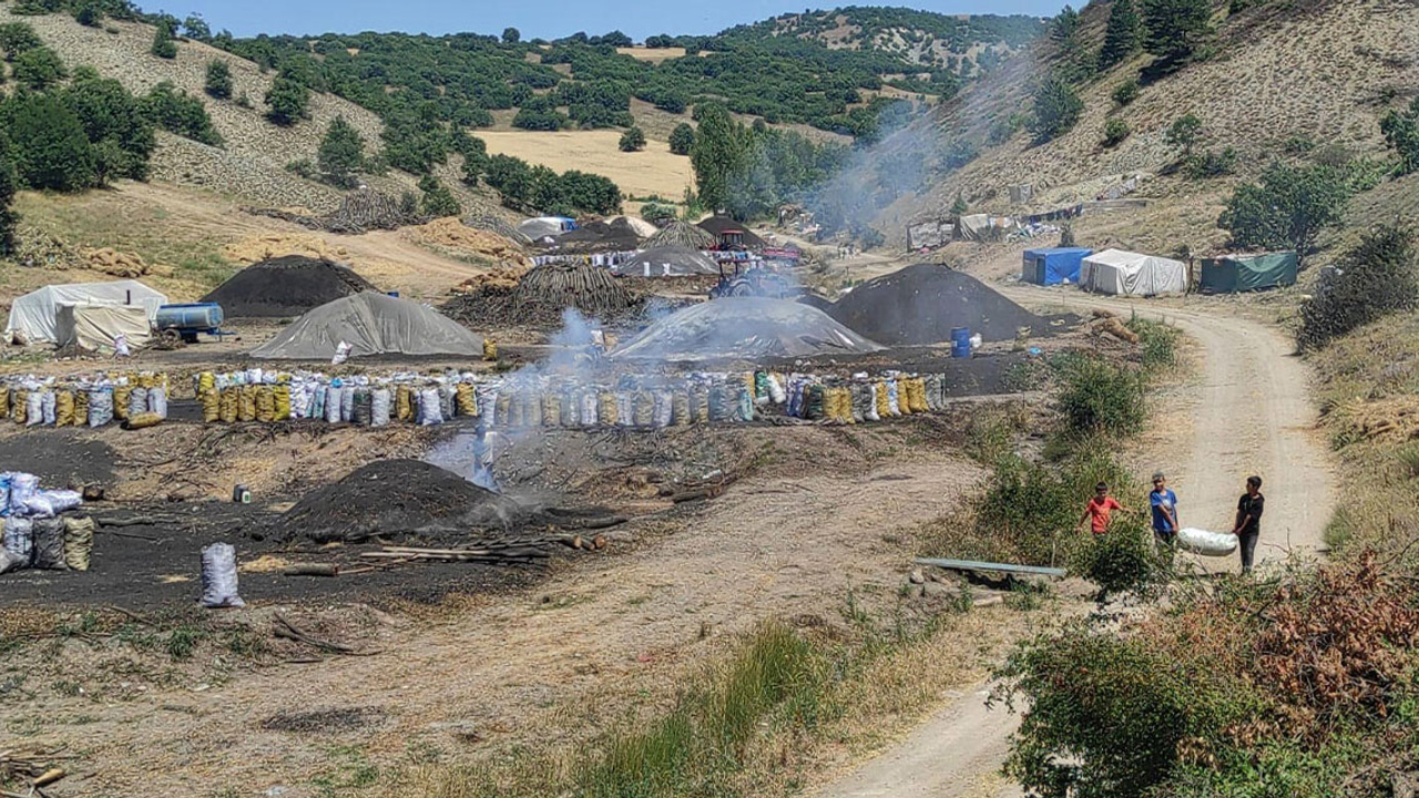 Yozgat Sorgun’da mangal kömürü işçileri zorlu şartlarda çalışmalarını sürdürüyor