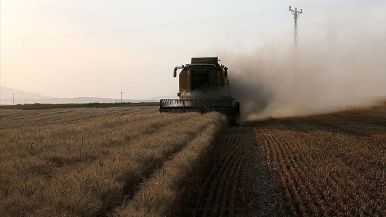 Çiftçilere 56,2 milyon liralık destekleme ödemesi bugün yapılıyor