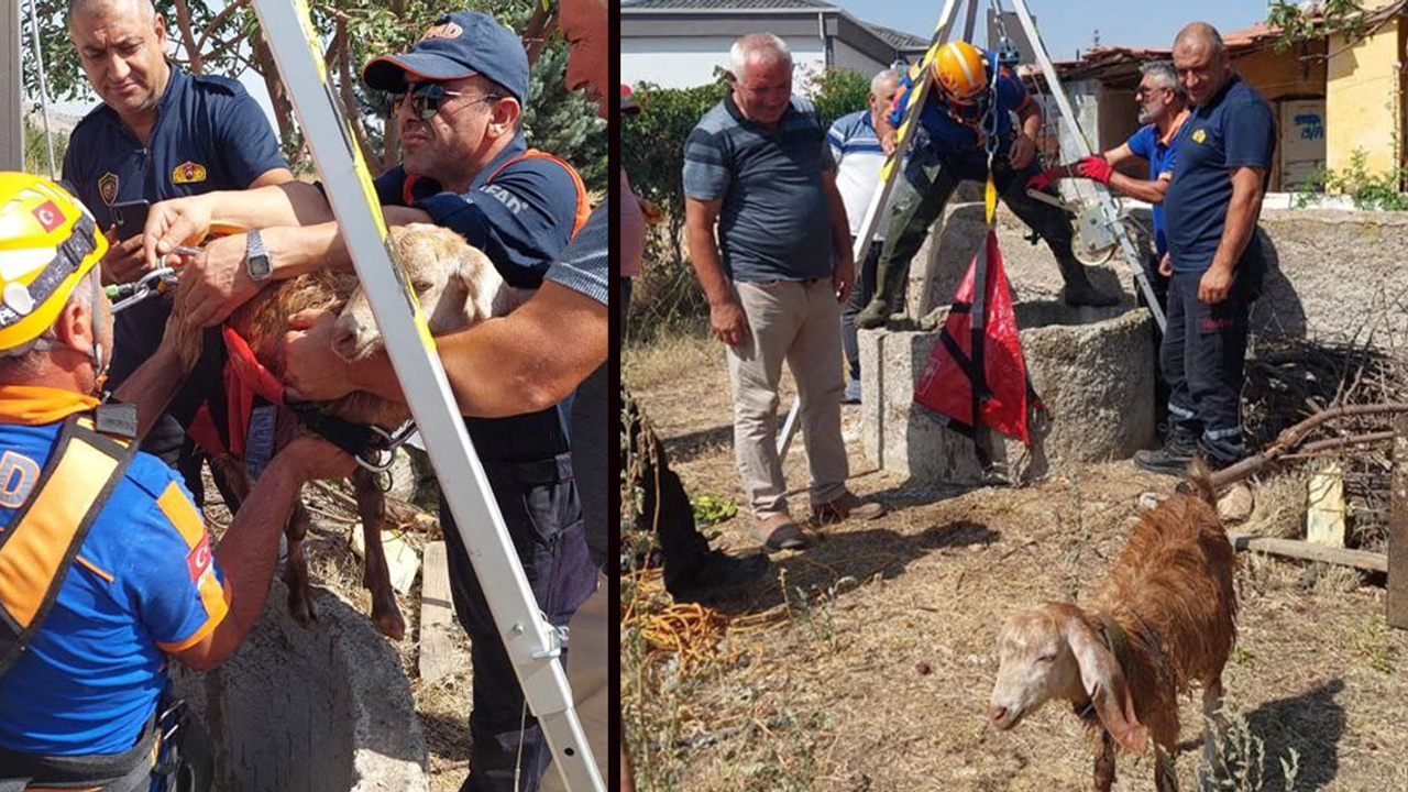 Kırıkkale'de su kuyusuna düşen keçiyi AFAD ve itfaiye kurtardı