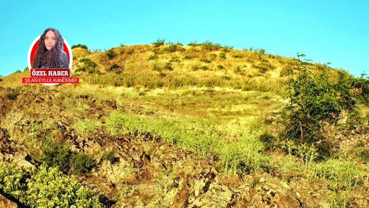 Geçmişin izlerini keşfedin! Asarcık Höyük