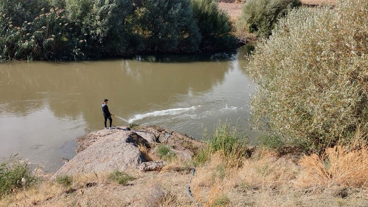 Kızılırmak’ta üvez sineği ile etkin mücadele devam ediyor! Kırşehir- Kayseri arası 150 KM ilaçlanıyor