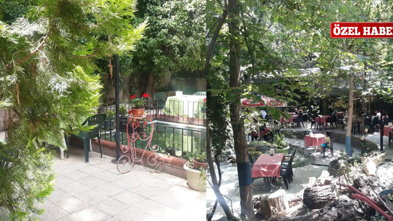 Ankaralıların değişmeyen gözdesi Papazın Bağı!