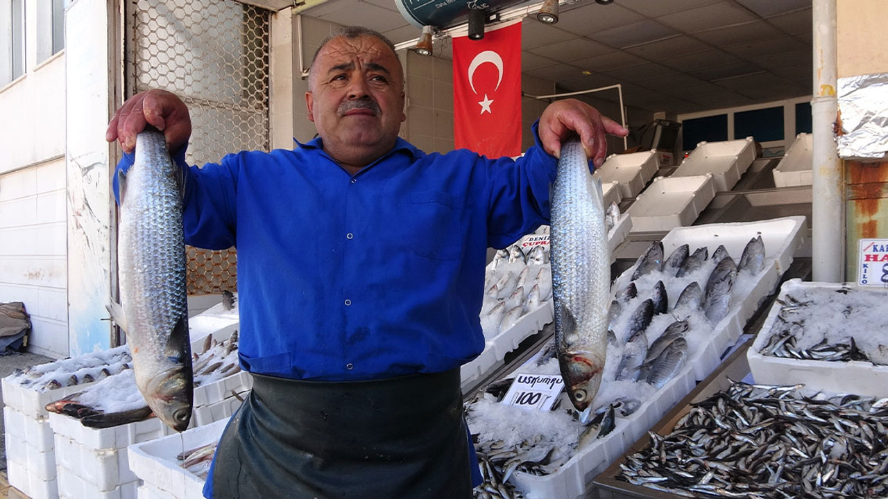 Yozgat’ta balık sezonu açıldı, kırmızı ete olan ilgi azaldı