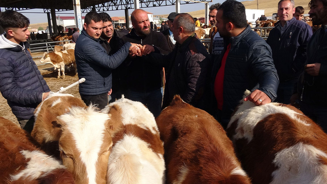 Yozgat’ta canlı hayvan pazarında büyük yoğunluk!