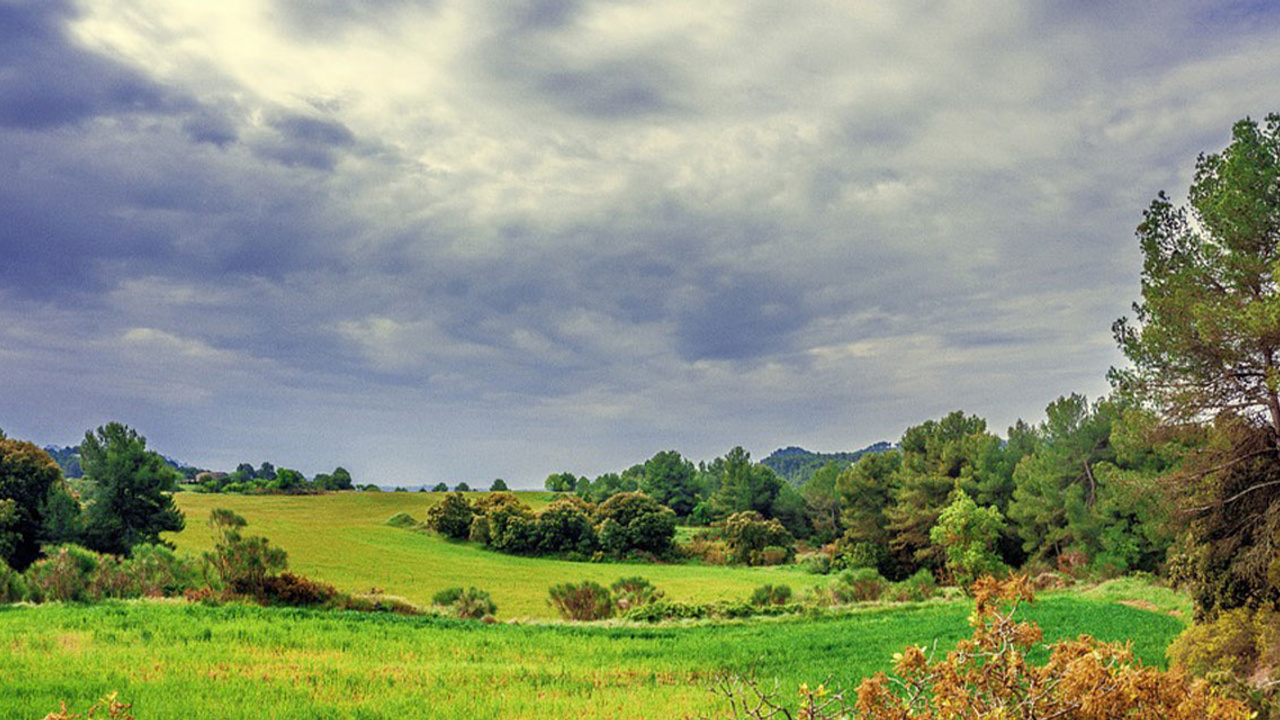 Pastoral şiir nedir ve özellikleri nelerdir?