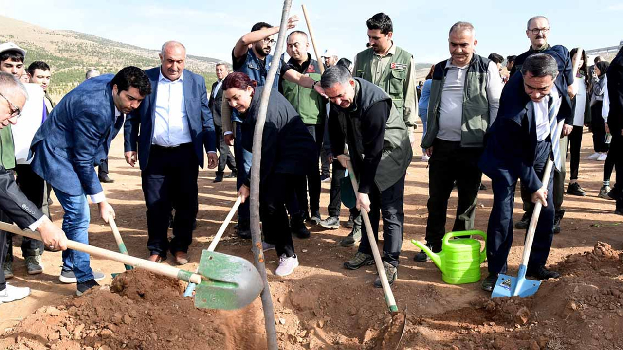 Kırşehir'de ağaçlandırma seferberliği