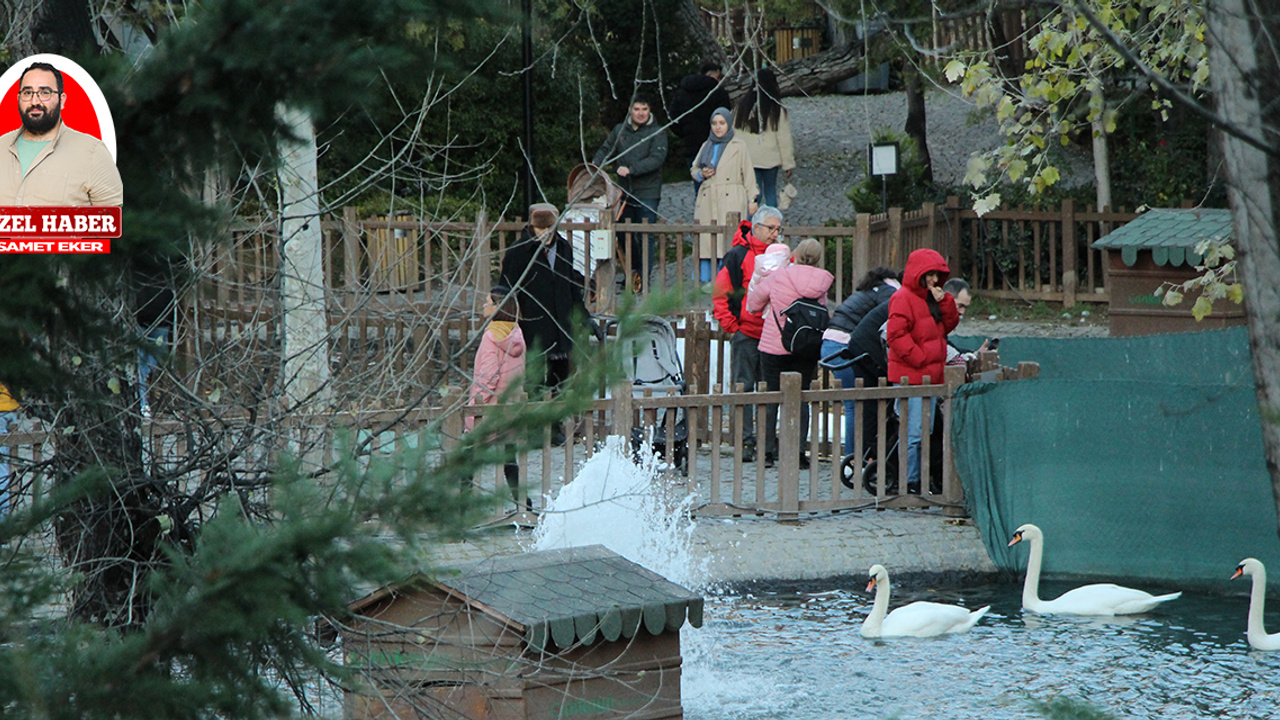 Ankaralılar soğuk havaya rağmen hafta sonunu Kuğulu Park’ta geçirdi