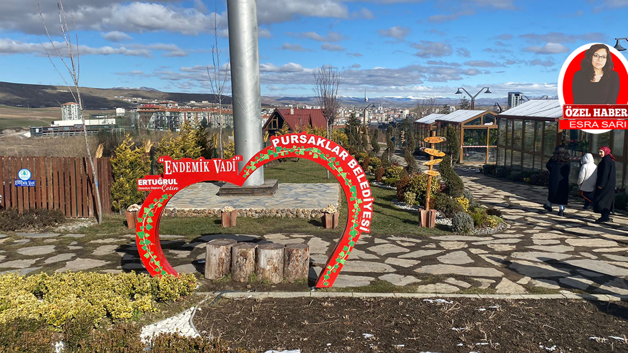 Ankara’ya özgü bitki ve hayvanlar bu vadide!