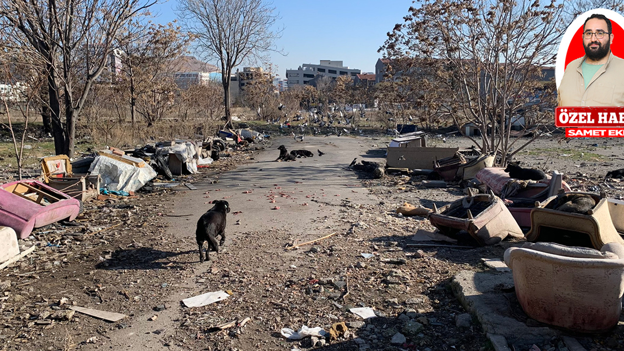 Ankara Altındağ İskitler Sanayi Sitesi çöplükten ve köpekten geçilmiyor…