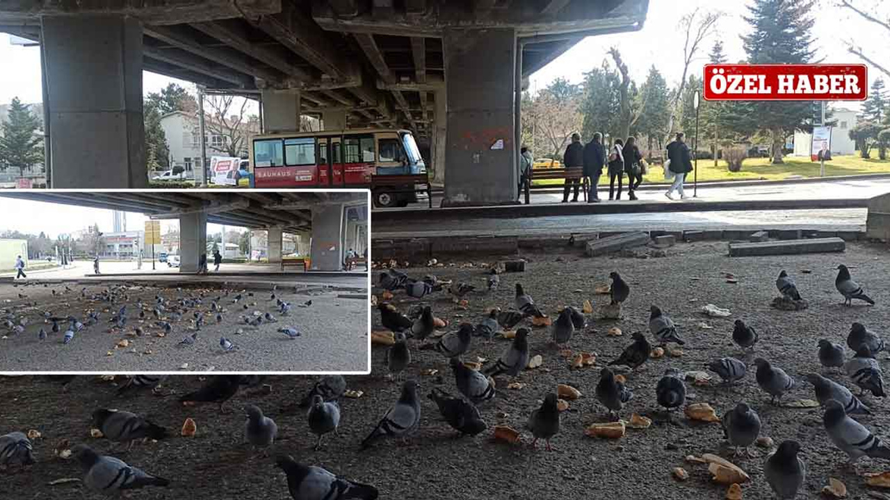 Fatih Köprüsü hem trafik hem de kötü kokudan geçilmiyor!