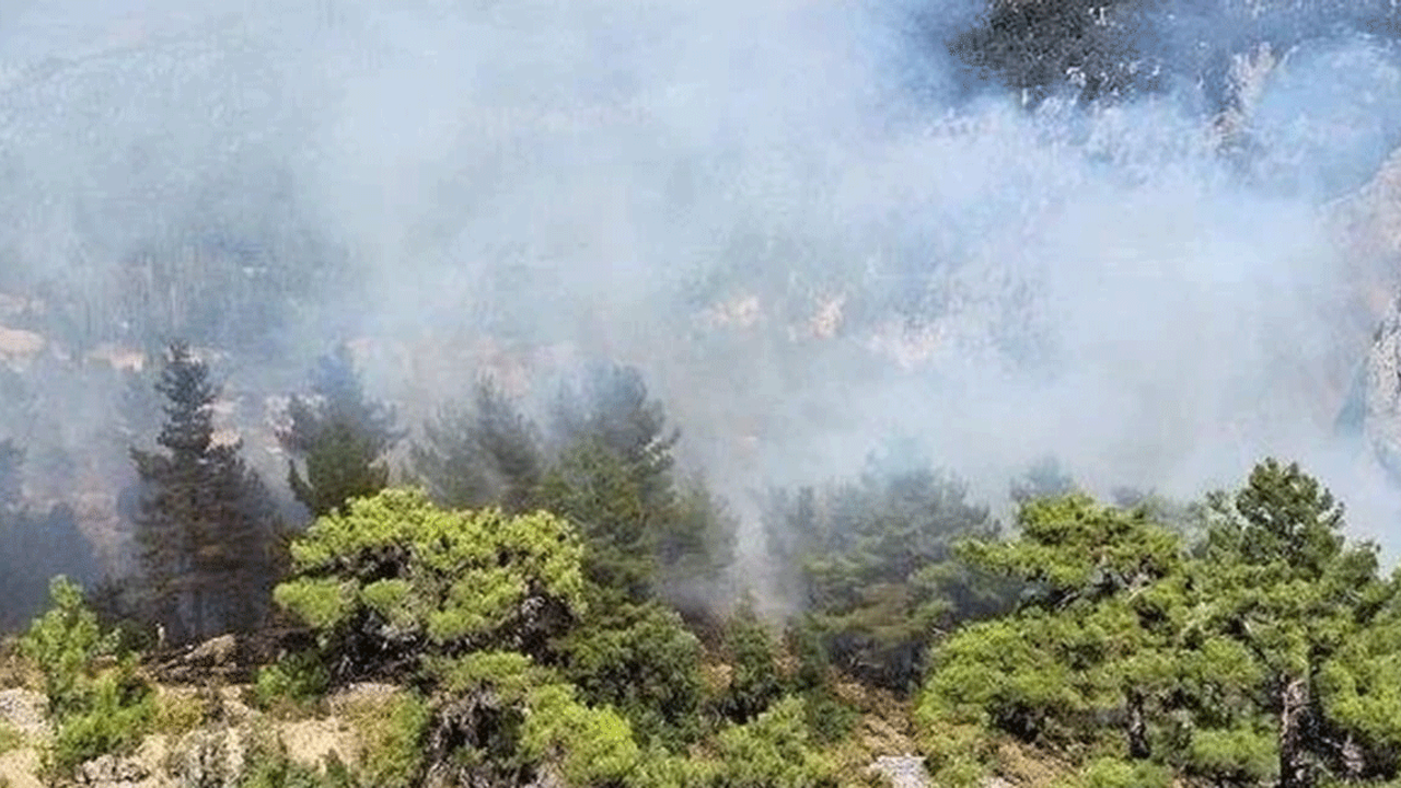 Antalya'da ormanlık alanda çıkan yangın kontrol altına alındı