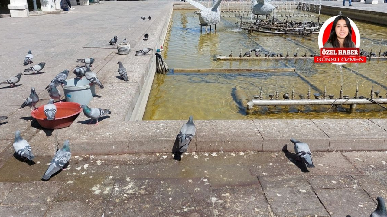 Güven Park kuş pisliği kokuyor