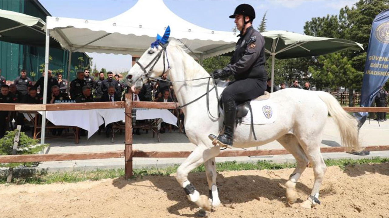 Ankara'nın yeni atlı polisleri görücüye çıktı!