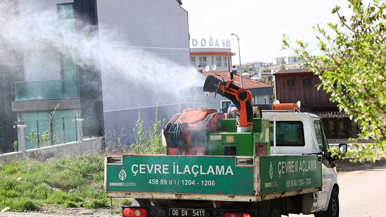 Çankaya'da sivrisinek mesaisi yoğunlaştı!