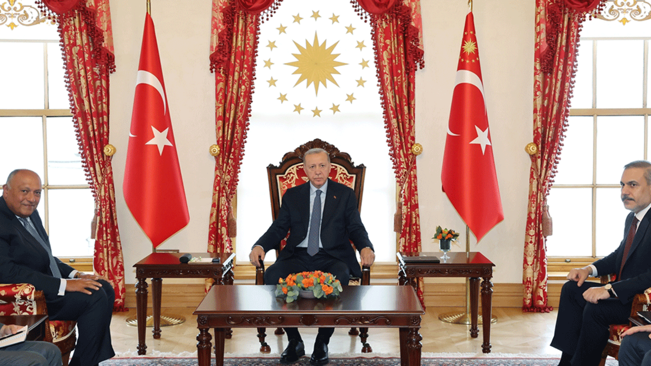 Cumhurbaşkanı Erdoğan, Mısır Dışişleri Bakanı Şukri'yi kabul etti