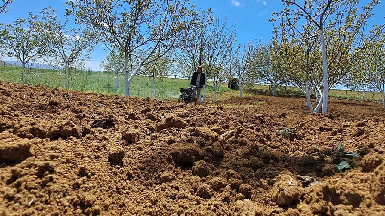 Kırşehir'de bahar mesaisi!