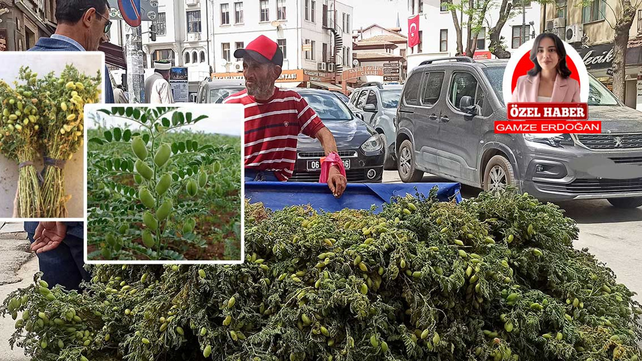Ankara sokaklarında dalından kopma lezzet!