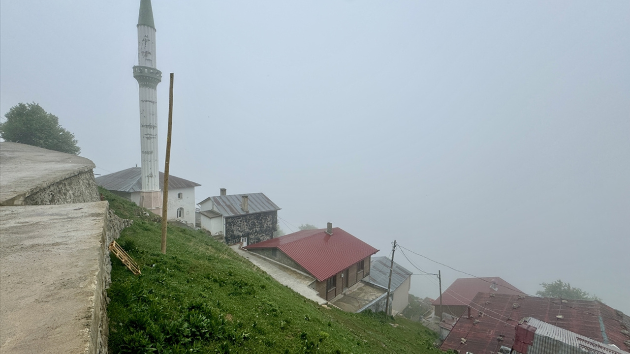 Karadeniz fıkrasına dönen muhtarlık seçimleri yenilenecek