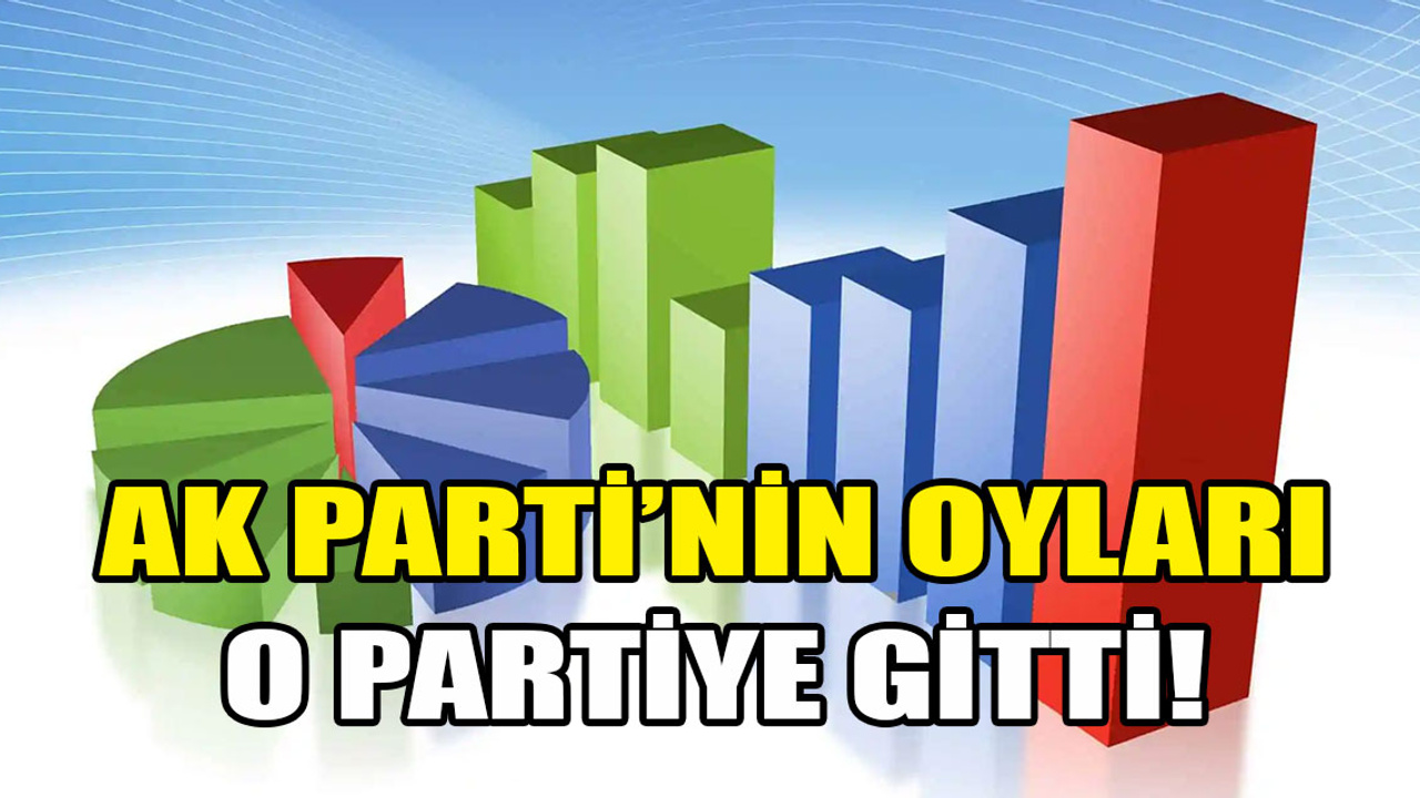 AK Parti'nin oylarının hangi partiye gittiği belli oldu