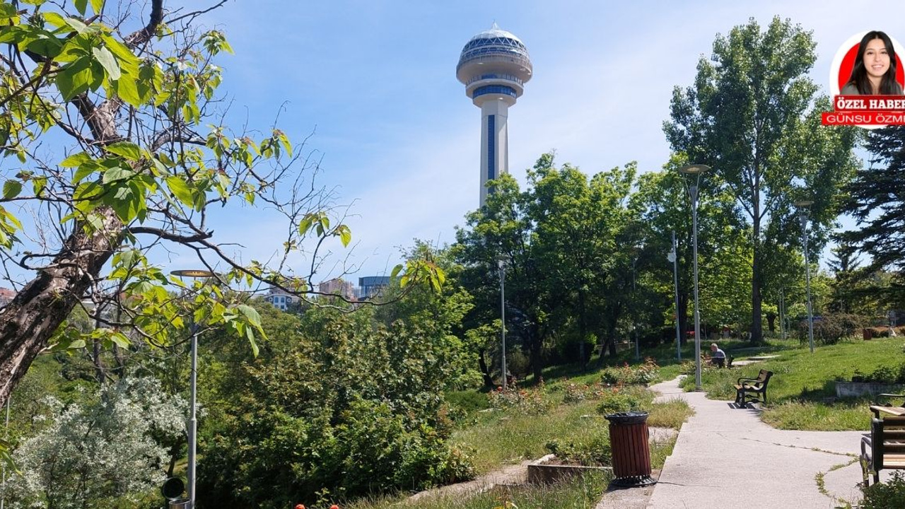 Doğanın Başkenti: Botanik Parkı’nda yeşilin büyüsü