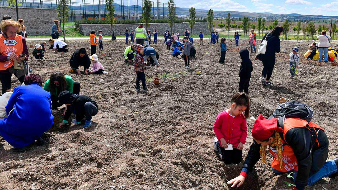 BAKAP'ta meşe fidanları toprakla buluştu!