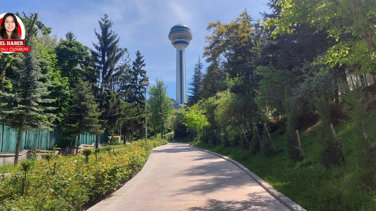 Botanik Parkı'nın güzelliği bakımsızlıkla gölge altında kalıyor