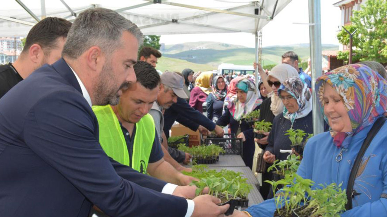 Pursaklar Belediyesinden vatandaşlara sebze fidesi desteği!