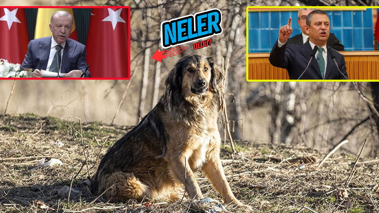 21 Mayıs 2024’te neler yaşandı? 21 Mayıs’ta yaşanan önemli gelişmeler