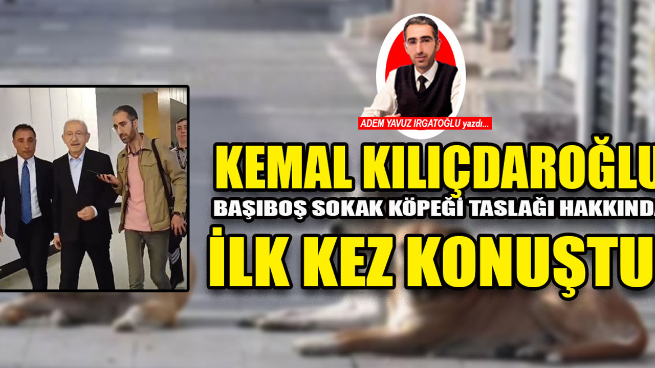 Kemal Kılıçdaroğlu, 'başıboş köpek düzenlemesi'ni anadolugazete.com.tr'ye değerlendirdi