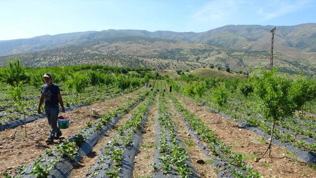 Öyle bir ürün üretti ki sipariş yetiştiremiyor!