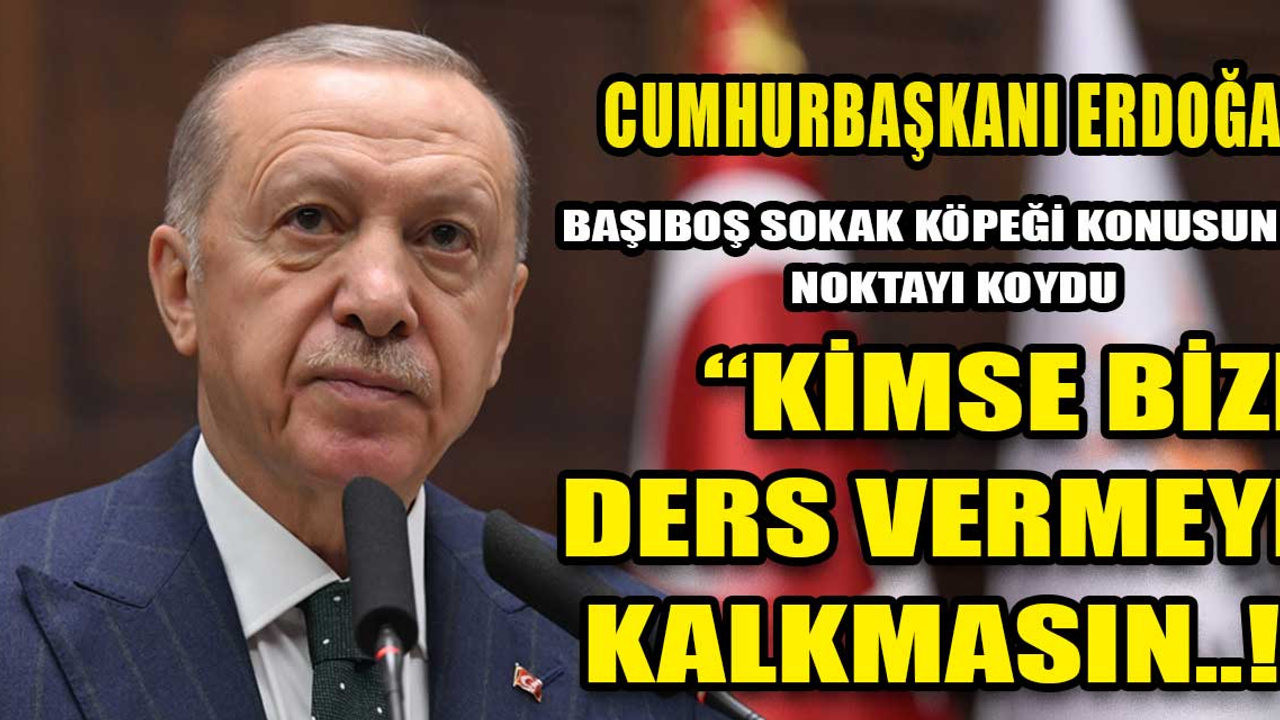 Cumhurbaşkanı Erdoğan, başıboş sokak köpeği meselesine noktayı koydu: "Kimse bize merhamet üzerinden ders vermeye kalkmasın"