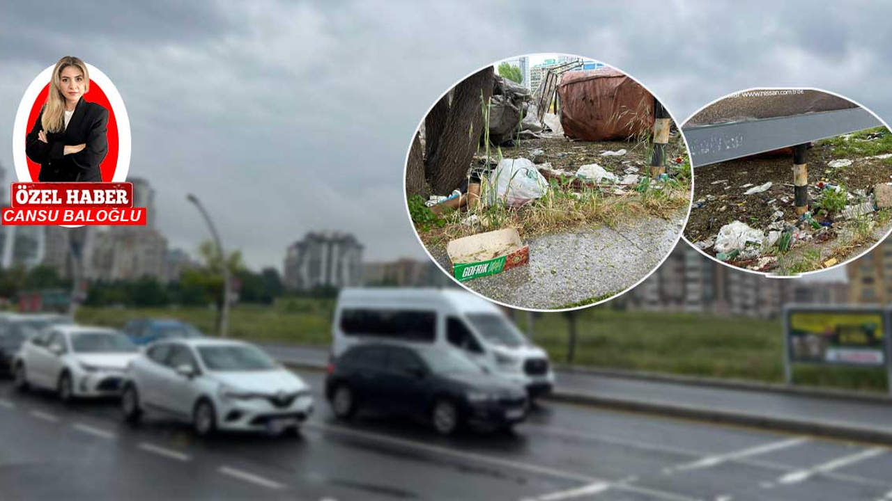 Çukurambar'da başıboş sokak köpeği ve çöp krizi devam ediyor!