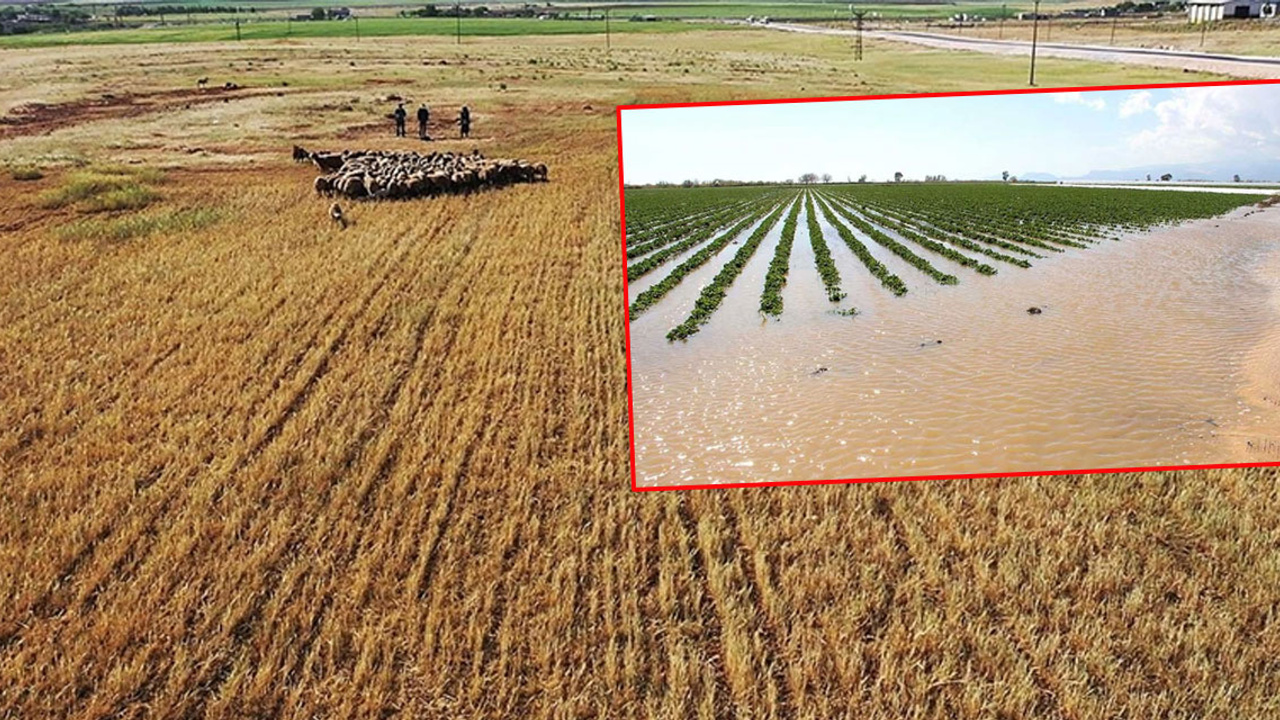 Tarımsal üretimde aşırı sıcaklık ve düzensiz yağış tehdidi devam ediyor