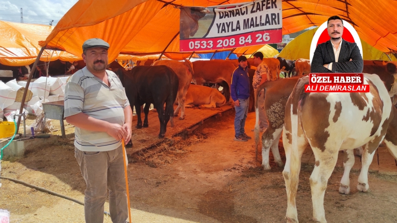 Ankara'ya gelen kurban besicisi dertli! Umduklarını bulamadılar