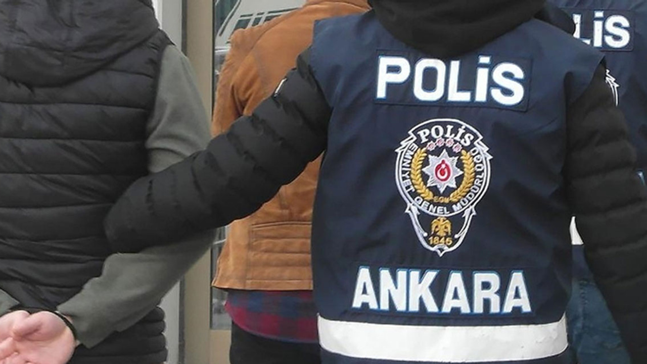 Ankara Valiliğinden 'hastalıklı köpeklere' ilişkin açıklama: Karantinaya alındılar!