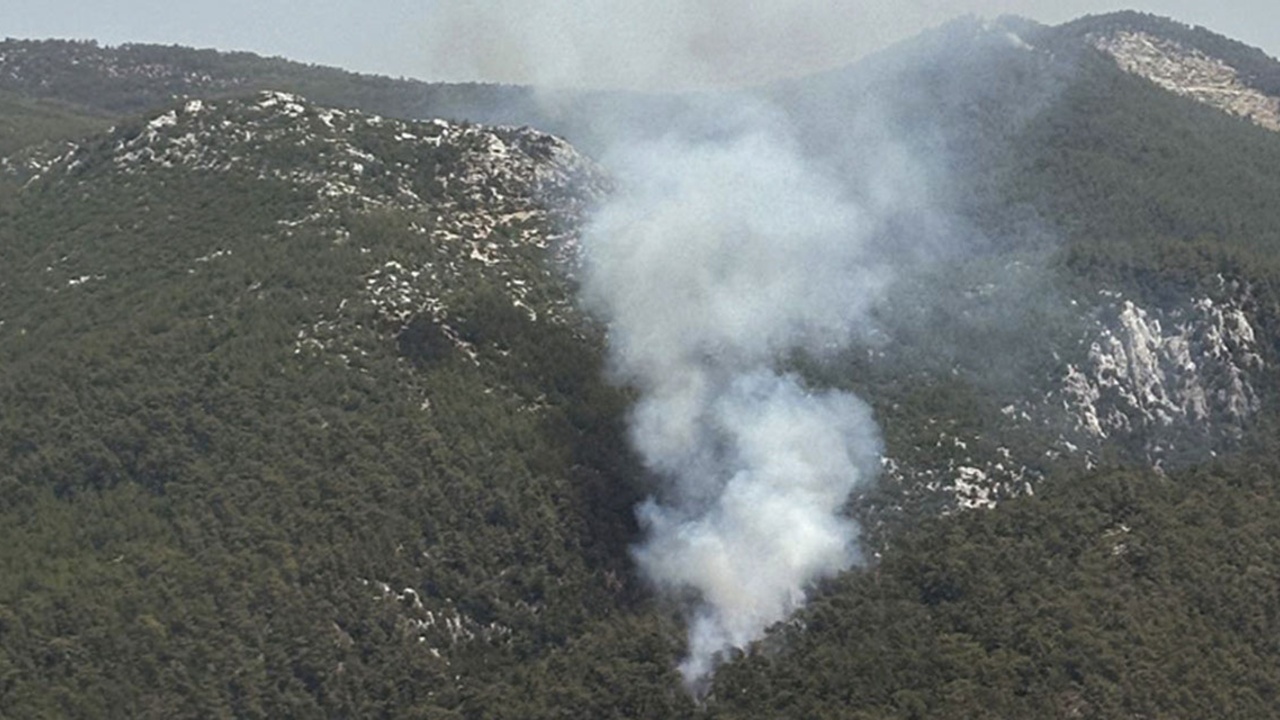 Muğla'da orman yangını