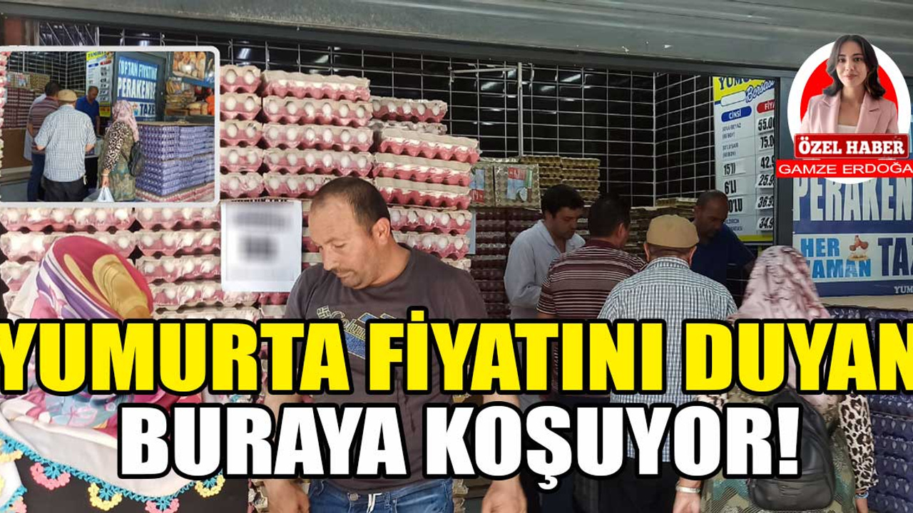 Yaz mevsimi yumurta fiyatlarını vurdu! Ankaralılar bu adrese koşuyor...
