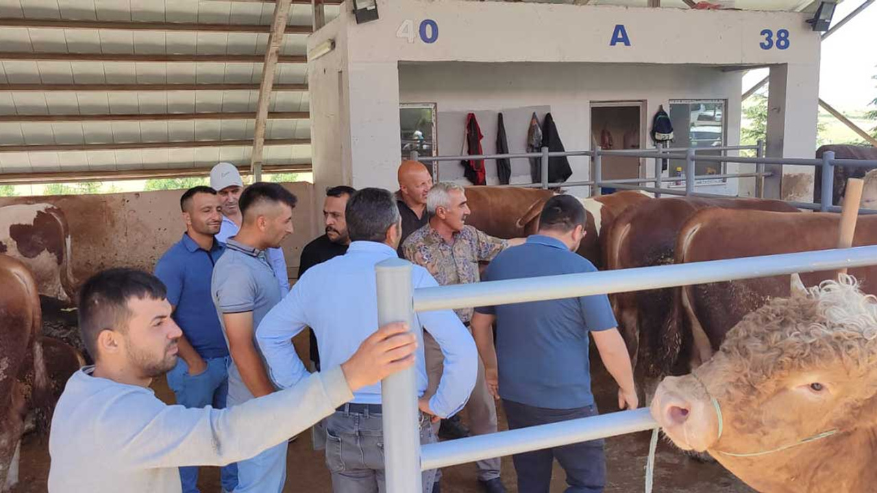 Altındağ'da kurban satış alanı hareketli!