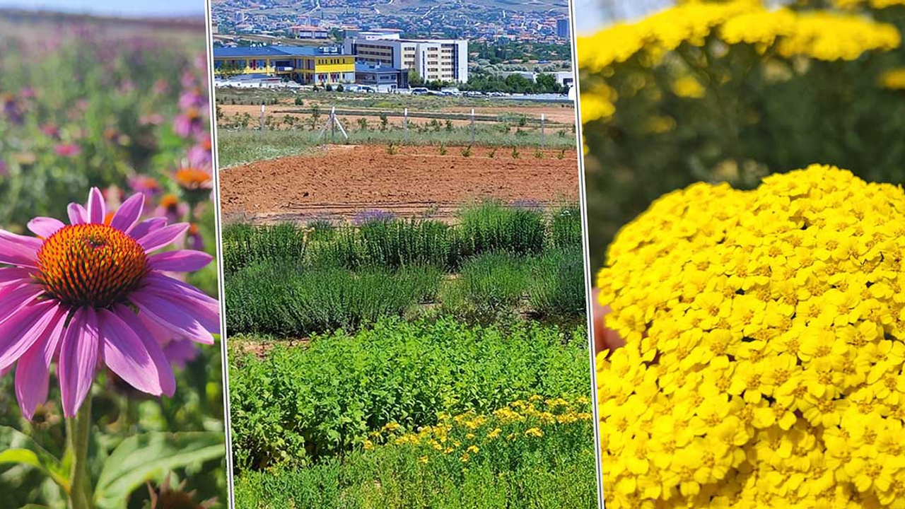 Kırşehir Ahi Evran Üniversitesi bir ilke daha imza attı