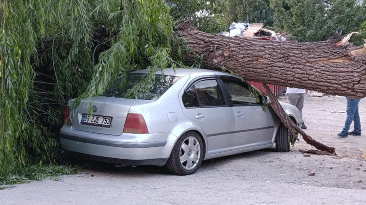 Ankara'da park halindeki araçların üzerine ağaç devrildi