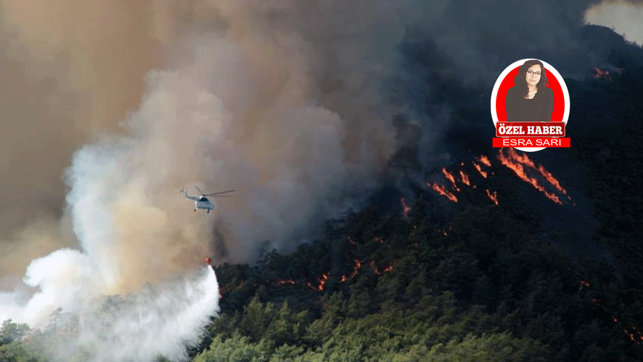 Orman yangınları Türkiye'yi tehdit ediyor