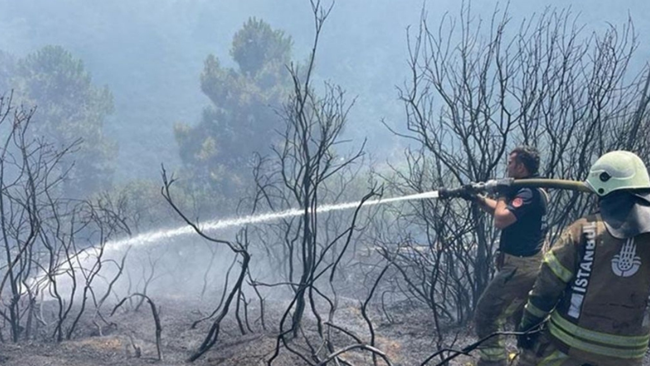 İzmir'deki orman yangınları devam ediyor