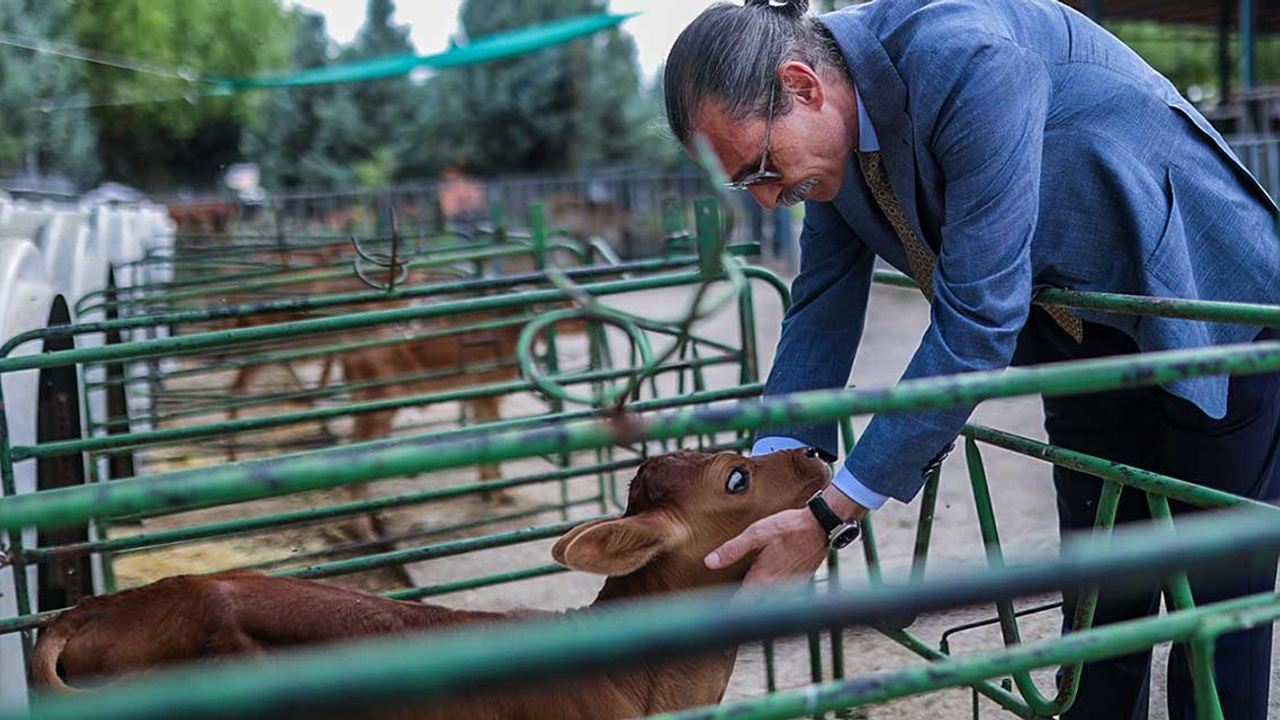 Erdal Beşikçioğlu'ndan hayvancılıkla ilgilenen vatandaşa destek!