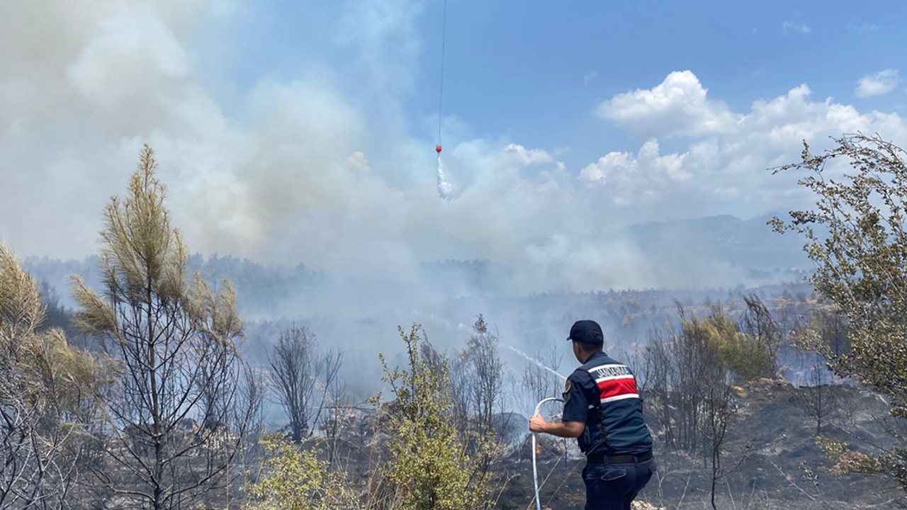 Antalya'da ormanlık alanda yangın!